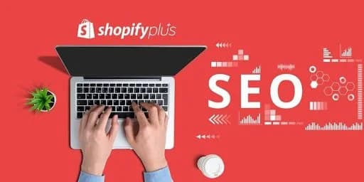 Shopify SEO Growth: Find Top Organic SEO Services