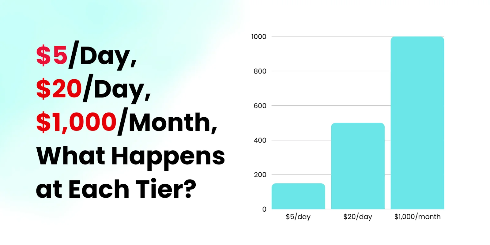 Budget comparison for Google Ads for eCommerce from $5 to $1000 per month